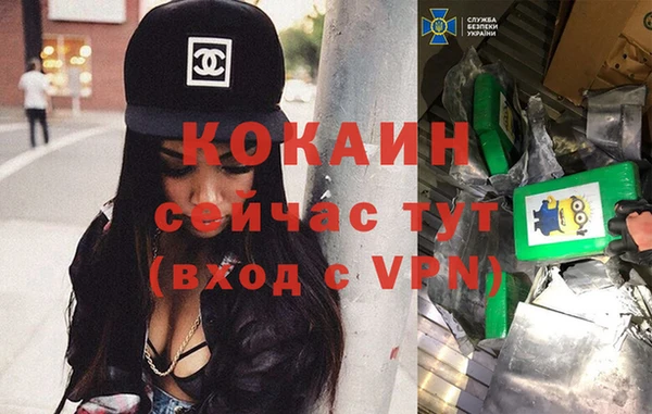 трава Верея