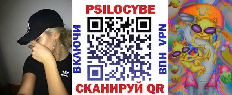 Псилоцибиновые грибы Psilocybine cubensis  Купить где  Магадан 