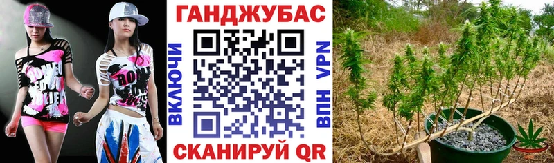 Купить закладки  Магадан  Марихуана марихуана 
